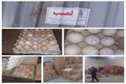ارومیه : شناسایی یک انبار نگهداری تخم مرغ فاقد هویت 